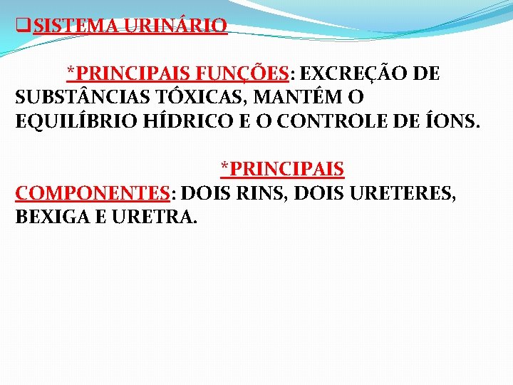 q. SISTEMA URINÁRIO *PRINCIPAIS FUNÇÕES: EXCREÇÃO DE SUBST NCIAS TÓXICAS, MANTÉM O EQUILÍBRIO HÍDRICO