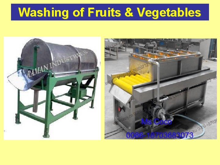 Washing of Fruits & Vegetables 
