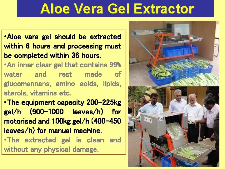  Aloe Vera Gel Extractor • Aloe vara gel should be extracted within 6