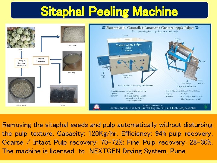 Sitaphal Peeling Machine Removing the sitaphal seeds and pulp automatically without disturbing the pulp