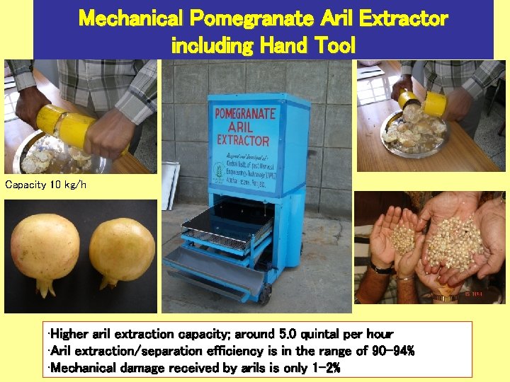 Mechanical Pomegranate Aril Extractor including Hand Tool Capacity 10 kg/h • Higher aril extraction