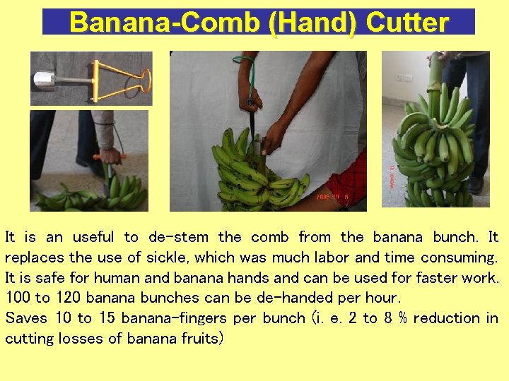 Banana-Comb (Hand) Cutter It is an useful to de-stem the comb from the banana