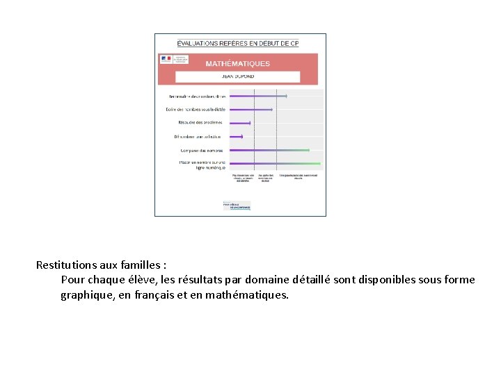 Restitutions aux familles : Pour chaque élève, les résultats par domaine détaillé sont disponibles