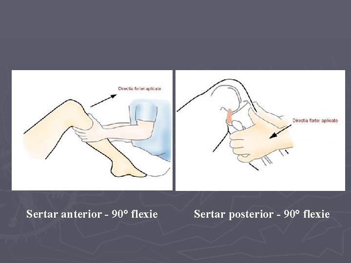 Sertar anterior - 90° flexie Sertar posterior - 90° flexie Sertar anterior - 90° flexie Sertar posterior - 90° flexie