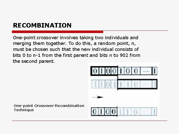 RECOMBINATION One-point crossover involves taking two individuals and merging them together. To do this,