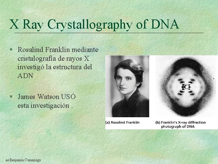 X Ray Crystallography of DNA § Rosalind Franklin mediante cristalografía de rayos X investigó