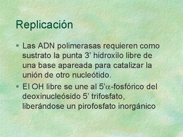 Replicación § Las ADN polimerasas requieren como sustrato la punta 3’ hidroxilo libre de