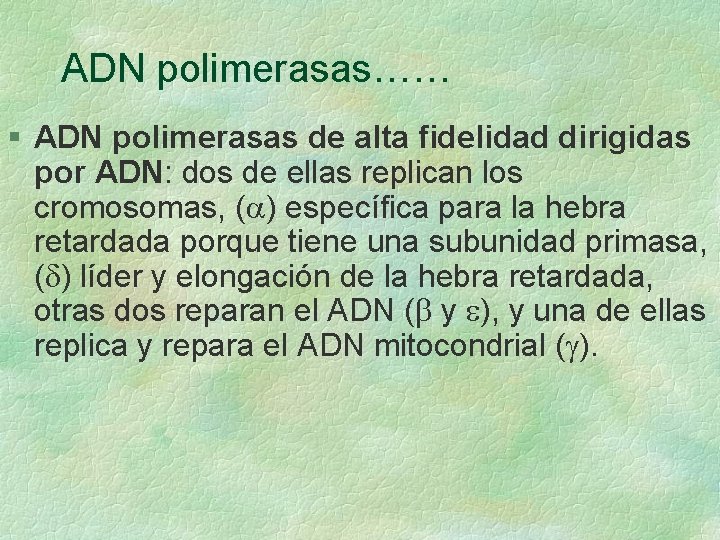 ADN polimerasas…… § ADN polimerasas de alta fidelidad dirigidas por ADN: dos de ellas