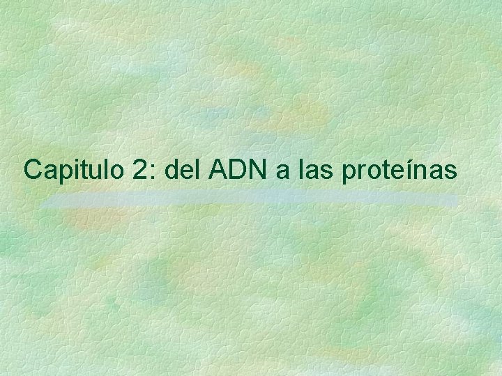 Capitulo 2: del ADN a las proteínas 