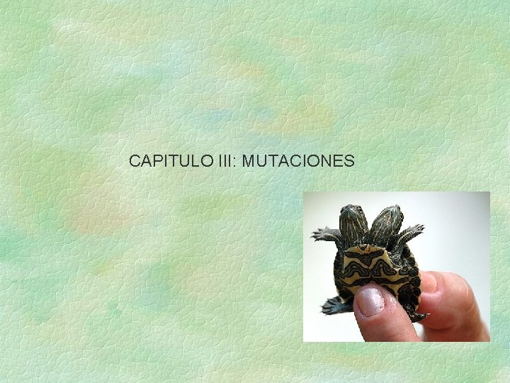 CAPITULO III: MUTACIONES 