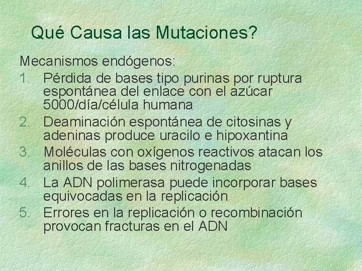 Qué Causa las Mutaciones? Mecanismos endógenos: 1. Pérdida de bases tipo purinas por ruptura