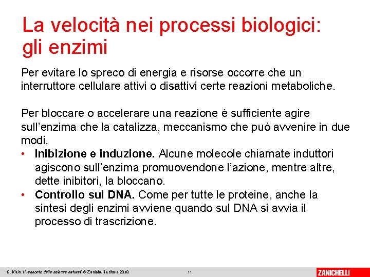 La velocità nei processi biologici: gli enzimi Per evitare lo spreco di energia e