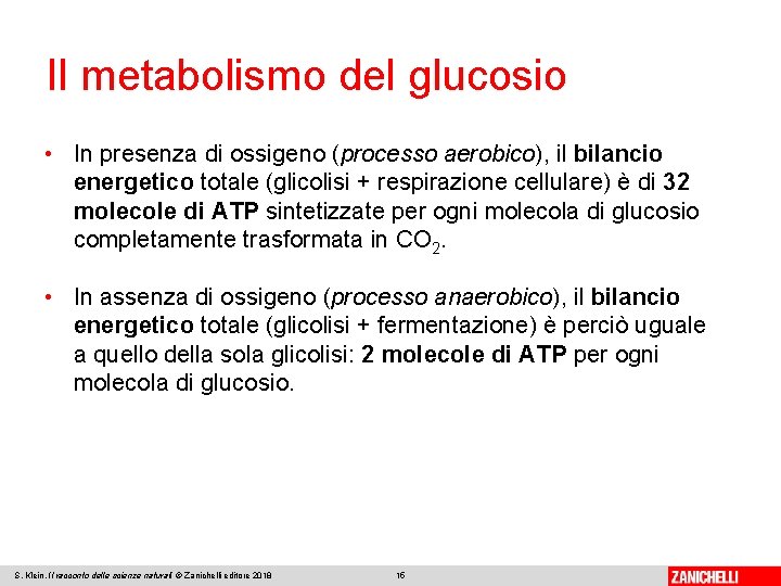 Il metabolismo del glucosio • In presenza di ossigeno (processo aerobico), il bilancio energetico