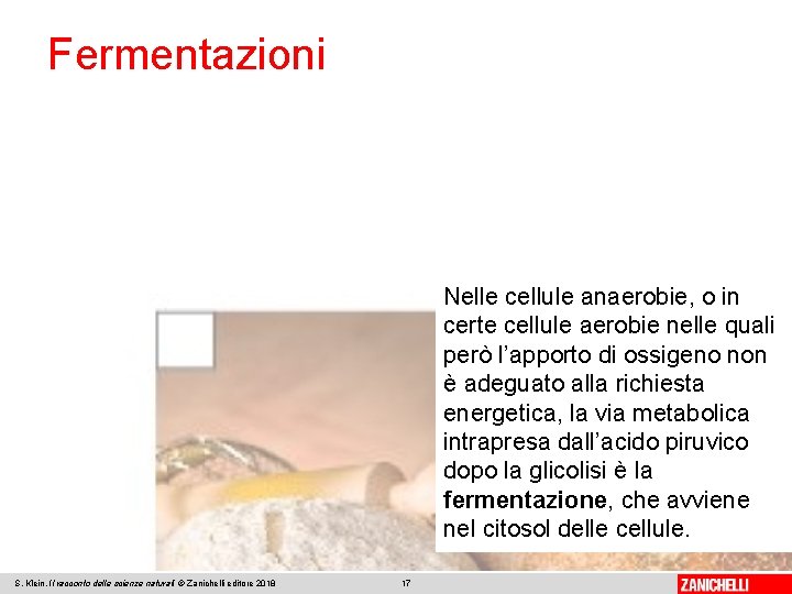 Fermentazioni Nelle cellule anaerobie, o in certe cellule aerobie nelle quali però l’apporto di