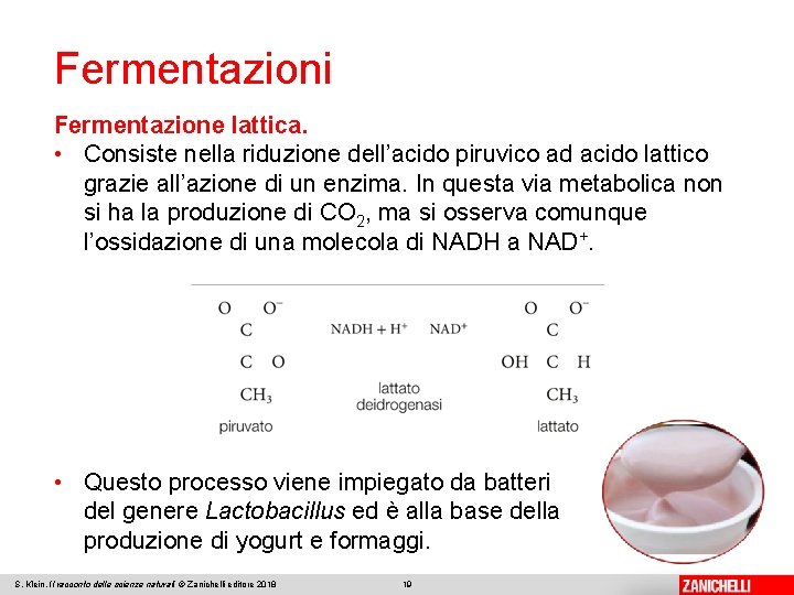 Fermentazioni Fermentazione lattica. • Consiste nella riduzione dell’acido piruvico ad acido lattico grazie all’azione