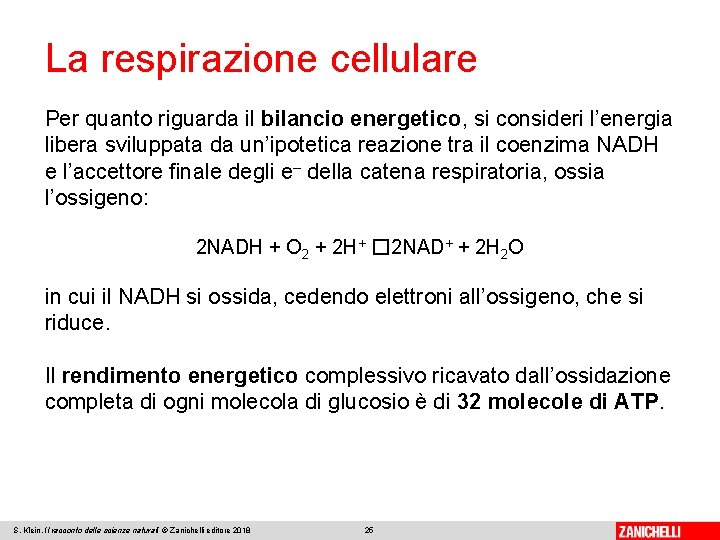 La respirazione cellulare Per quanto riguarda il bilancio energetico, si consideri l’energia libera sviluppata