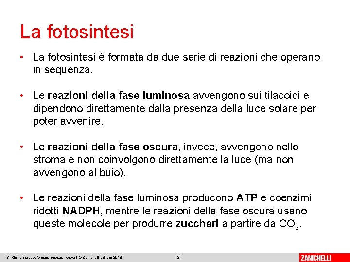 La fotosintesi • La fotosintesi è formata da due serie di reazioni che operano
