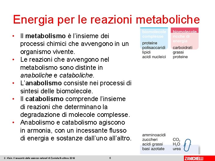 Energia per le reazioni metaboliche • Il metabolismo è l’insieme dei processi chimici che