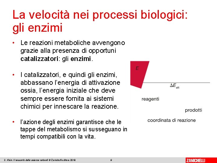 La velocità nei processi biologici: gli enzimi • Le reazioni metaboliche avvengono grazie alla