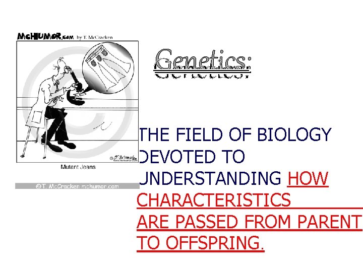 Genetics: THE FIELD OF BIOLOGY DEVOTED TO UNDERSTANDING HOW CHARACTERISTICS ARE PASSED FROM PARENT