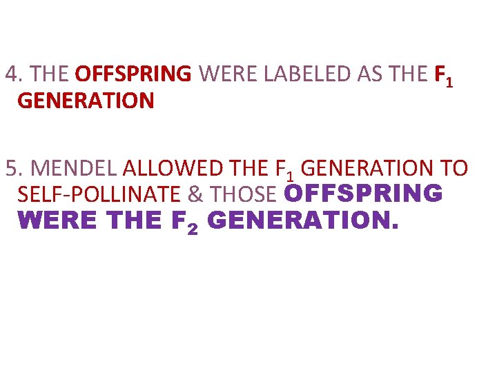 4. THE OFFSPRING WERE LABELED AS THE F 1 GENERATION 5. MENDEL ALLOWED THE