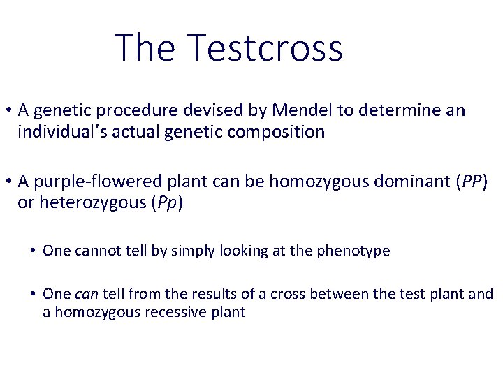The Testcross • A genetic procedure devised by Mendel to determine an individual’s actual