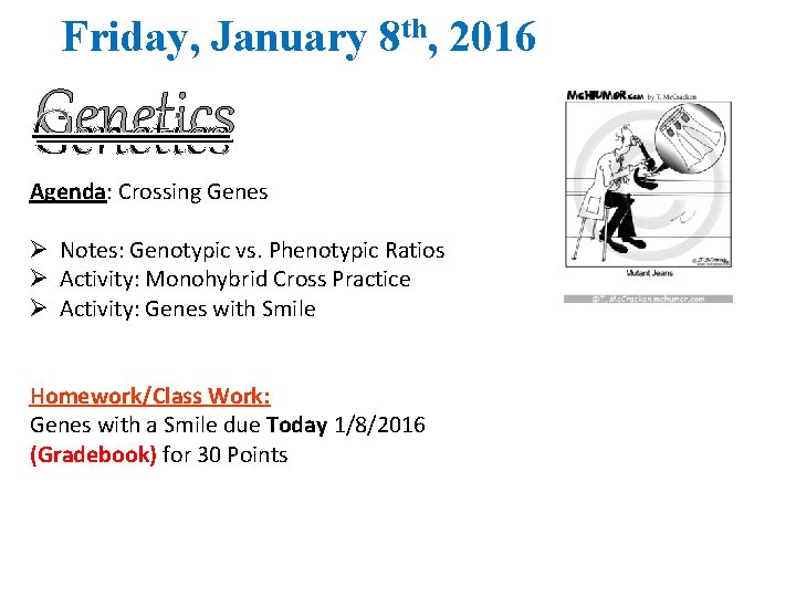 Friday, January 8 th, 2016 Genetics Agenda: Crossing Genes Ø Notes: Genotypic vs. Phenotypic