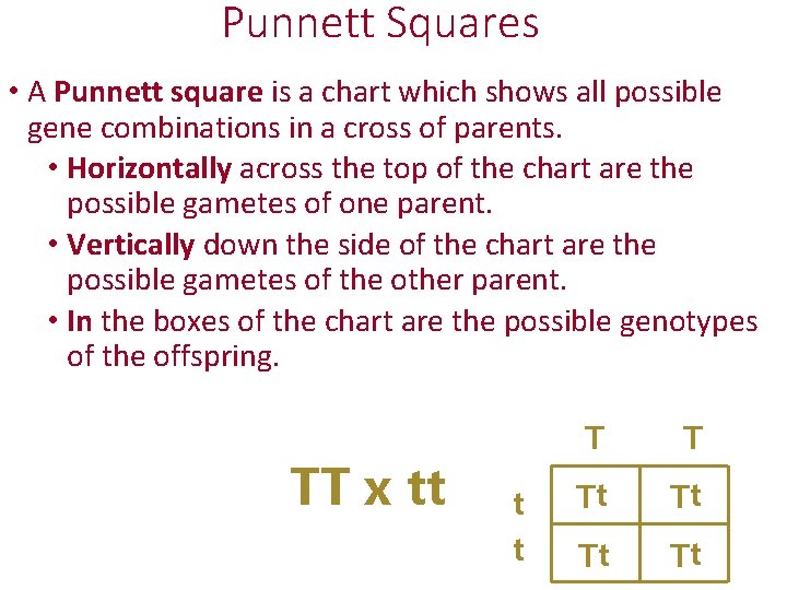 Punnett Squares • A Punnett square is a chart which shows all possible gene