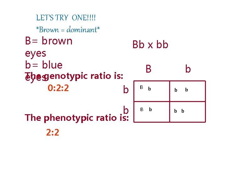 LET’S TRY ONE!!!! *Brown = dominant* B= brown Bb x bb eyes b= blue