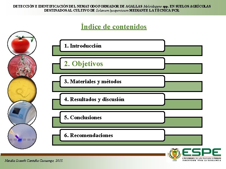 DETECCIÓN E IDENTIFICACIÓN DEL NEMATODO FORMADOR DE AGALLAS Meloidogyne spp. EN SUELOS AGRÍCOLAS DESTINADOS