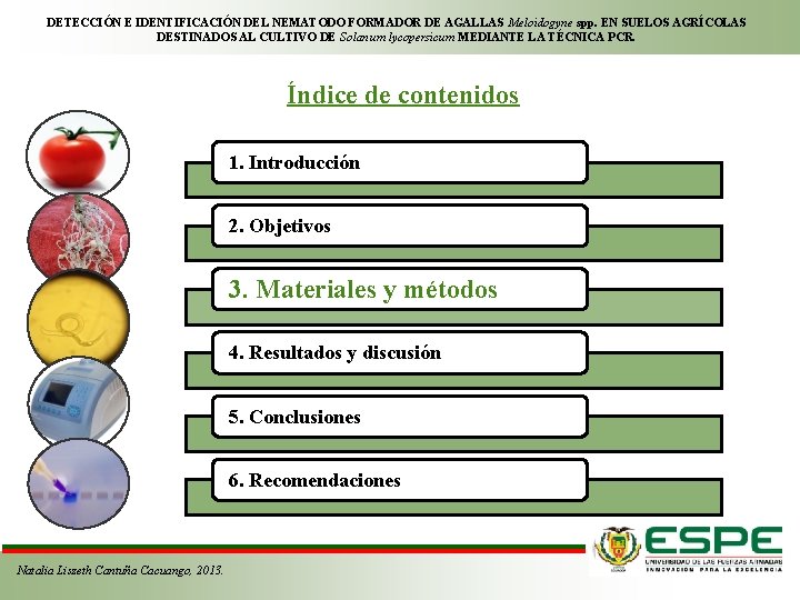 DETECCIÓN E IDENTIFICACIÓN DEL NEMATODO FORMADOR DE AGALLAS Meloidogyne spp. EN SUELOS AGRÍCOLAS DESTINADOS