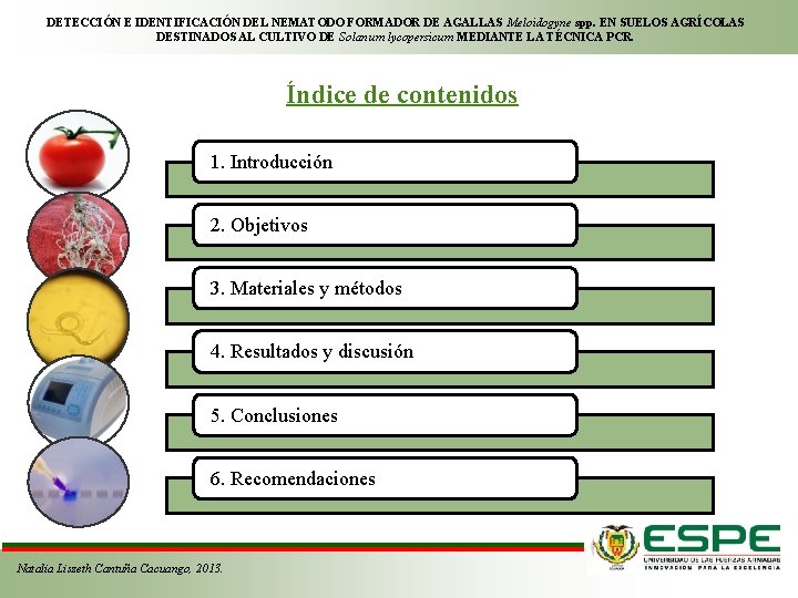 DETECCIÓN E IDENTIFICACIÓN DEL NEMATODO FORMADOR DE AGALLAS Meloidogyne spp. EN SUELOS AGRÍCOLAS DESTINADOS