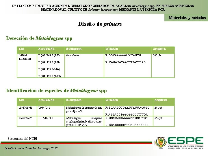 DETECCIÓN E IDENTIFICACIÓN DEL NEMATODO FORMADOR DE AGALLAS Meloidogyne spp. EN SUELOS AGRÍCOLAS DESTINADOS