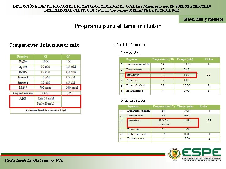 DETECCIÓN E IDENTIFICACIÓN DEL NEMATODO FORMADOR DE AGALLAS Meloidogyne spp. EN SUELOS AGRÍCOLAS DESTINADOS