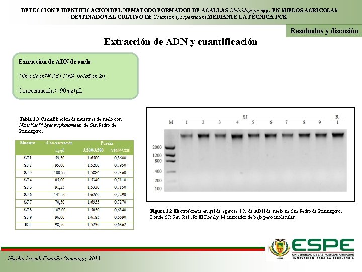 DETECCIÓN E IDENTIFICACIÓN DEL NEMATODO FORMADOR DE AGALLAS Meloidogyne spp. EN SUELOS AGRÍCOLAS DESTINADOS