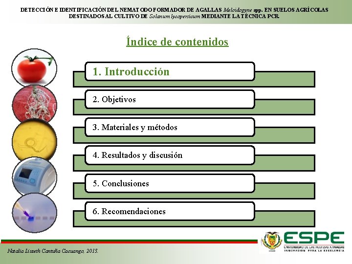 DETECCIÓN E IDENTIFICACIÓN DEL NEMATODO FORMADOR DE AGALLAS Meloidogyne spp. EN SUELOS AGRÍCOLAS DESTINADOS