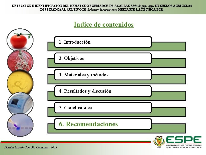 DETECCIÓN E IDENTIFICACIÓN DEL NEMATODO FORMADOR DE AGALLAS Meloidogyne spp. EN SUELOS AGRÍCOLAS DESTINADOS