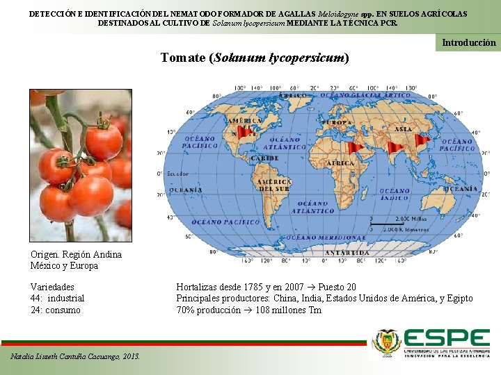 DETECCIÓN E IDENTIFICACIÓN DEL NEMATODO FORMADOR DE AGALLAS Meloidogyne spp. EN SUELOS AGRÍCOLAS DESTINADOS