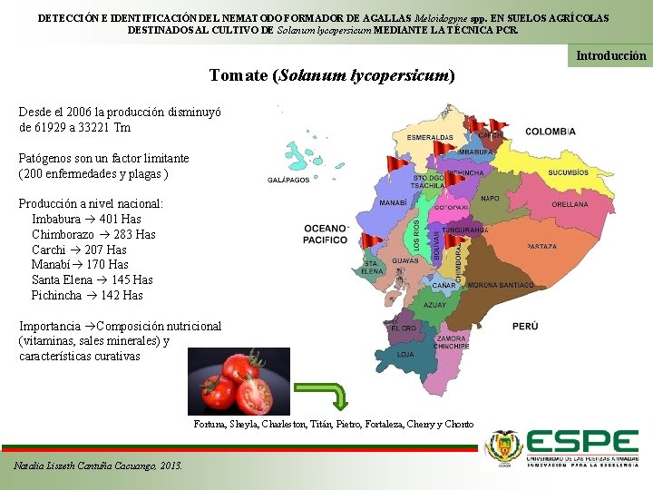 DETECCIÓN E IDENTIFICACIÓN DEL NEMATODO FORMADOR DE AGALLAS Meloidogyne spp. EN SUELOS AGRÍCOLAS DESTINADOS