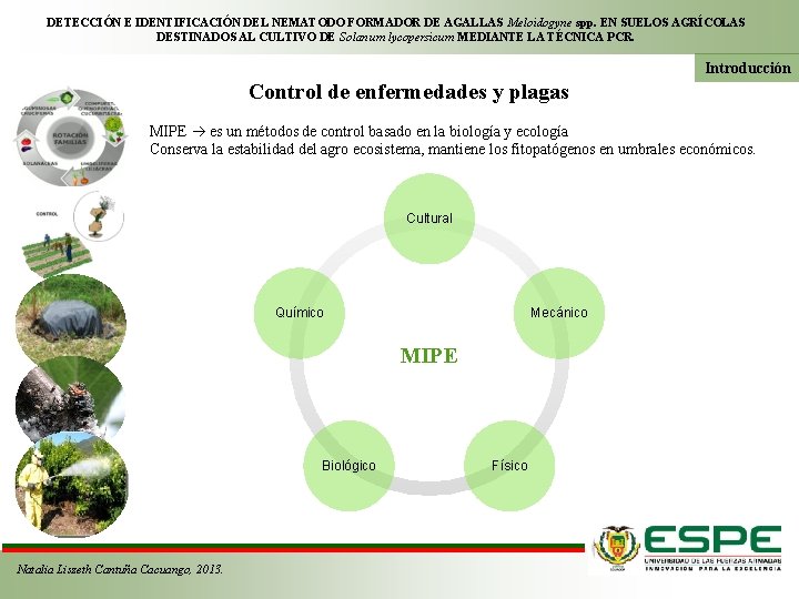 DETECCIÓN E IDENTIFICACIÓN DEL NEMATODO FORMADOR DE AGALLAS Meloidogyne spp. EN SUELOS AGRÍCOLAS DESTINADOS