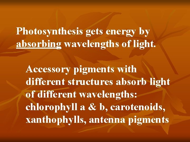 Photosynthesis gets energy by absorbing wavelengths of light. Accessory pigments with different structures absorb