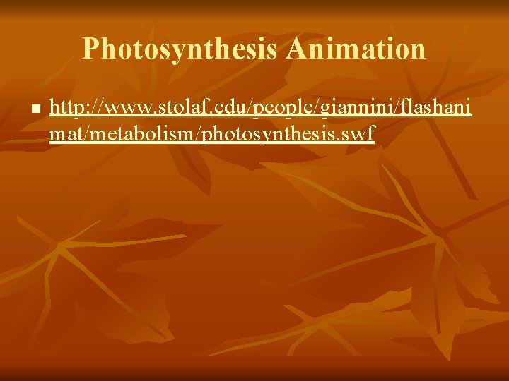 Photosynthesis Animation n http: //www. stolaf. edu/people/giannini/flashani mat/metabolism/photosynthesis. swf 