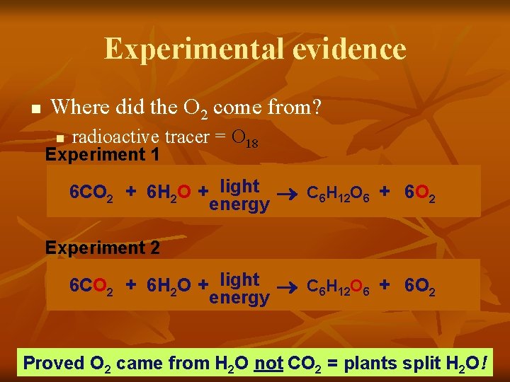 Experimental evidence n Where did the O 2 come from? n radioactive tracer =