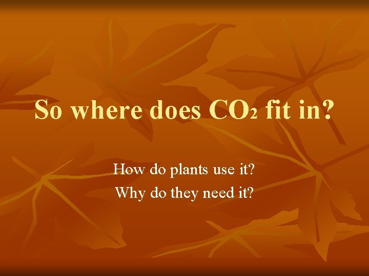 So where does CO 2 fit in? How do plants use it? Why do