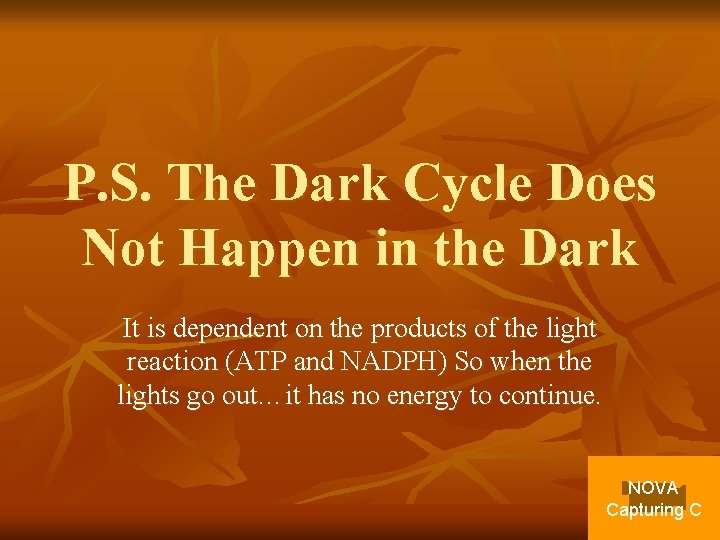 P. S. The Dark Cycle Does Not Happen in the Dark It is dependent