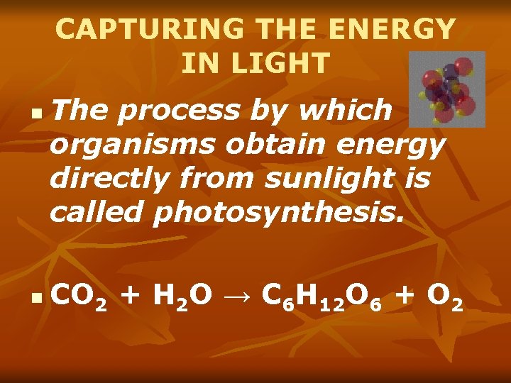 CAPTURING THE ENERGY IN LIGHT n n The process by which organisms obtain energy