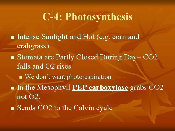 C-4: Photosynthesis n n Intense Sunlight and Hot (e. g. corn and crabgrass) Stomata