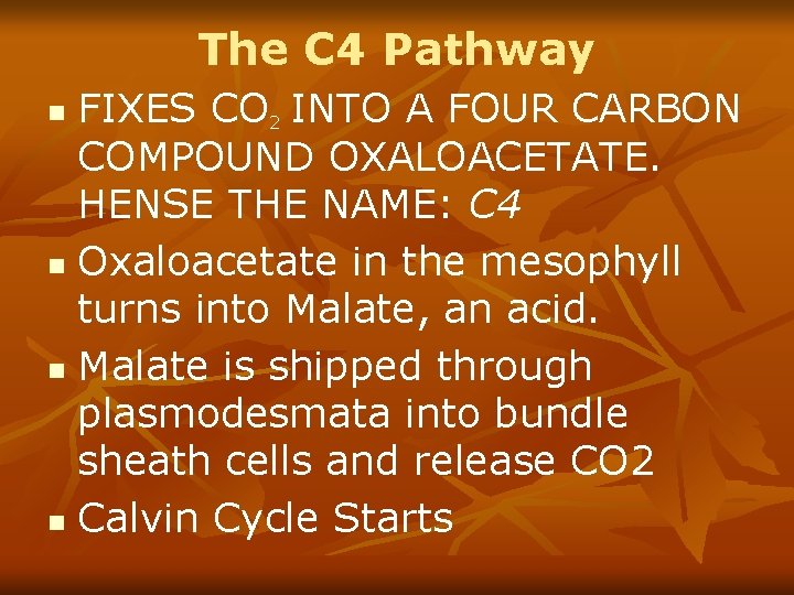 The C 4 Pathway FIXES CO 2 INTO A FOUR CARBON COMPOUND OXALOACETATE. HENSE