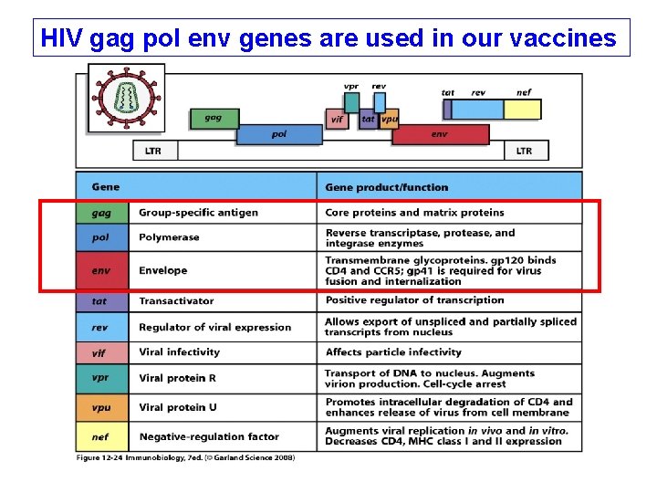 HIV gag pol env genes are used in our vaccines 