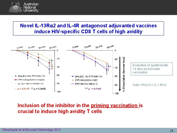 Novel IL-13 R 2 and IL-4 R antagonost adjuvanted vaccines induce HIV-specific CD 8